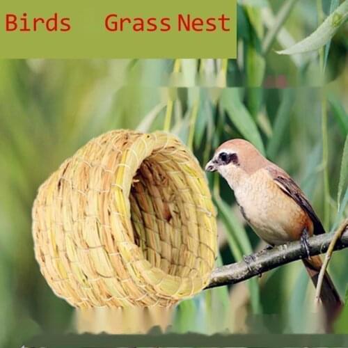 Aviary And Cages Bird Toy Parrot Nest Grass Nests Peony Pearl Budgerigar Bird Egg House Breeding Incubator Supplies Accessories