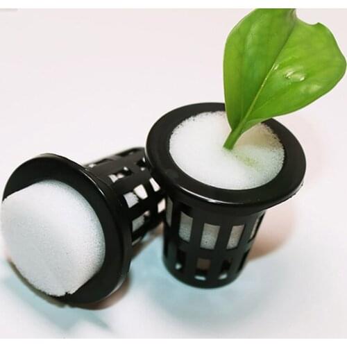 100pcs Hydroponic Seed Nursery Plant Pot Sponge Water Cultivation Tray Plant Seed Sponge Small Size Seed Cultivation Sponge