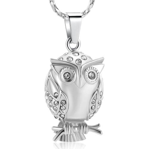 Crystal Owl Cremation Jewelry for Ashes Pendant Stainless Steel Animal Keepsake Memorial Pet Urn Necklace for Women Men