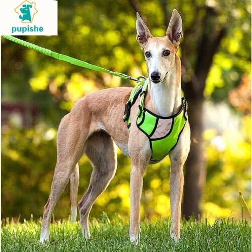 PUPISHE Reflective Large Dog Harness Strong Pet Training Walk Out Harness Vest Big Dog Leash Collars Set Soft Dog Harness