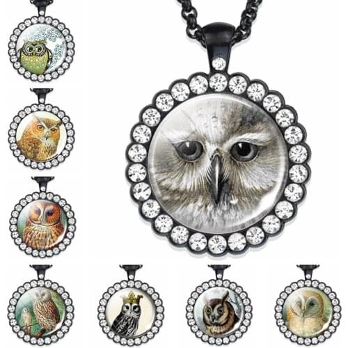 Animal Jewelry Clear Owl Picture Rhinestone Necklace Eagle Owl Birds Pendant Necklaces Gift for Women Men