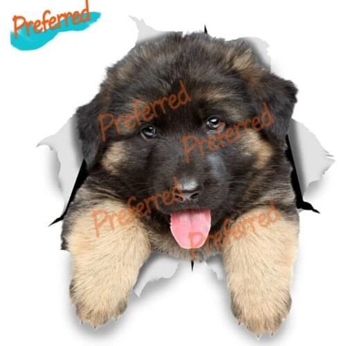 Realistic 3D Visual Personalized Fashion Stickers Used for Car Motorcycle Wall Furniture Waterproof Vinyl Die Cutting