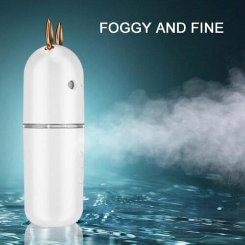 2021 Intelligent Facial Sprayer Lovely Exquisite Compact Face Steamer Instant Anti-aging Moisturizing Skin Care Tools USB