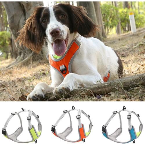 AIRUIDOG Collars, Harnesses And Leashes