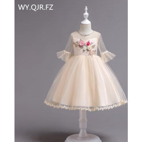 BH726X#Ball Gown Champagne Flower Girl Dresses European American short-sleeved embroidered childrens princess dress wholesale