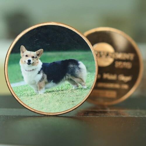 Welsh Corgie Geo round B80