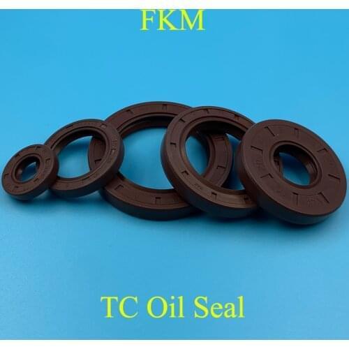 20*31*7 20x31x7 20*32*6/7/8/9.5 20x32x6/7/8/9.5 Fluoro FKM Fluorine Rubber Spring 2 Lip TC Gasket Radial Shaft Skeleton Oil Seal