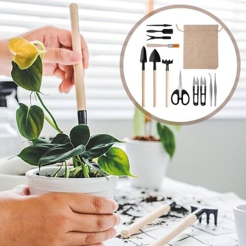 13pcs Bonsai Tools Set Succulent Mini Garden Hand Tools Includes Pruning Shears, Mini Rake, Fold Scissors, Bud and Leaf Trimmer