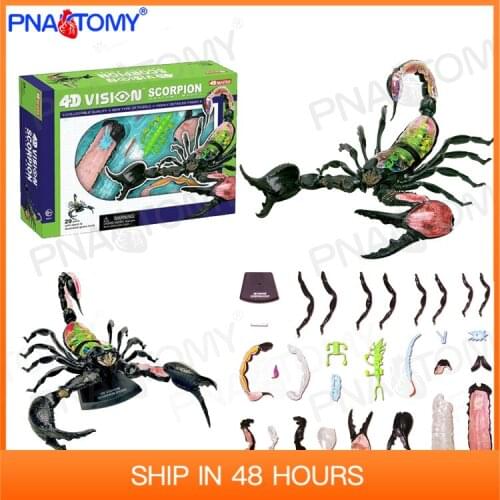 4D MASTER Animal Puzzle Scorpion Toys Models Detachable DIY Gifts 29 Parts Educational Tool 26113