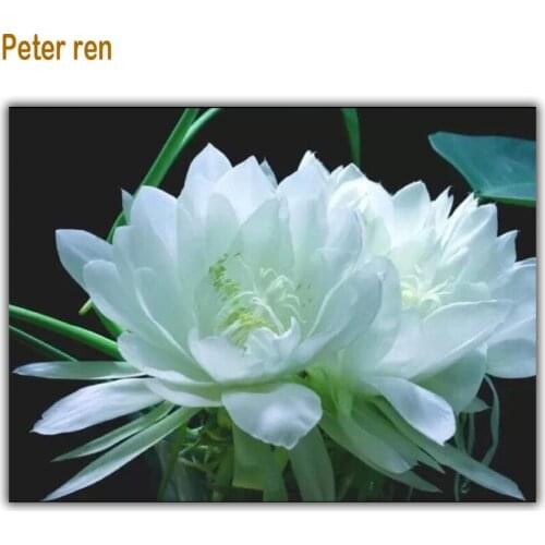 Full Diamond Painting flowers Snow Lotus Herb Bedroom 3D Square Diamond Mosaic icon mural Diy Arts and Crafts Diamond Embroidery