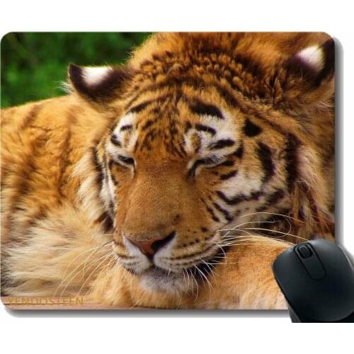 Personalized Mouse Pad,Tiger Muzzle Breaks Striped Big Cat 40634 Non-Slip Rubber Base Mousepad