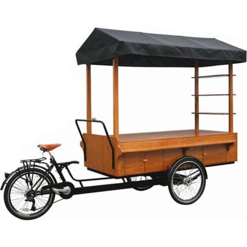 Electric Cargo Bike Street Vending Bicycle Adult Tricycle Outdoor Beverage Drink Coffee Van Food Cart for Sale Customizable