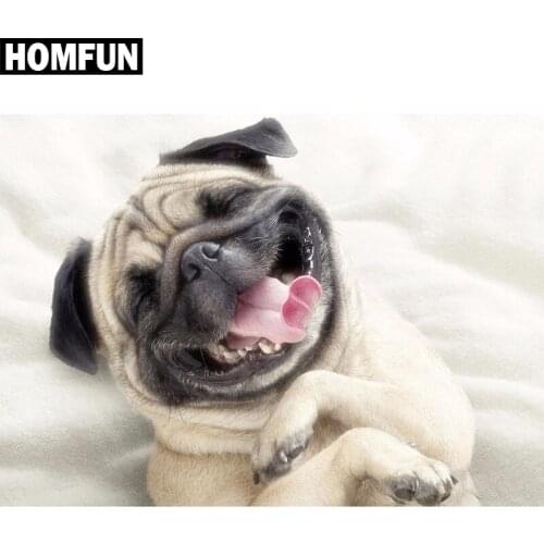 HOMFUN Full Square/Round Drill 5D DIY Diamond Painting "Animal cute dog" Embroidery Cross Stitch 5D Home Decor Gift