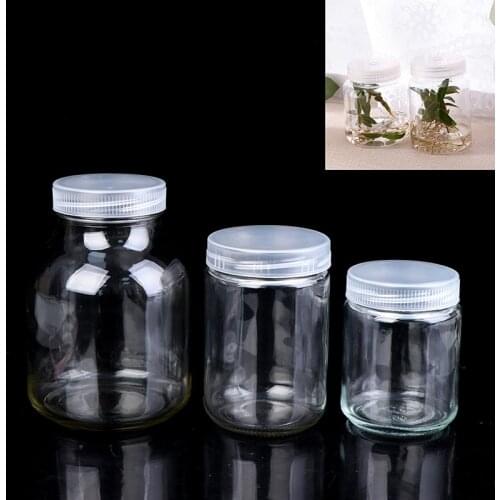 240/350/650mL Plants Glass Jars For Bottle Seedling Tissue Culture Seedling High Temperature Resistance No Deformation