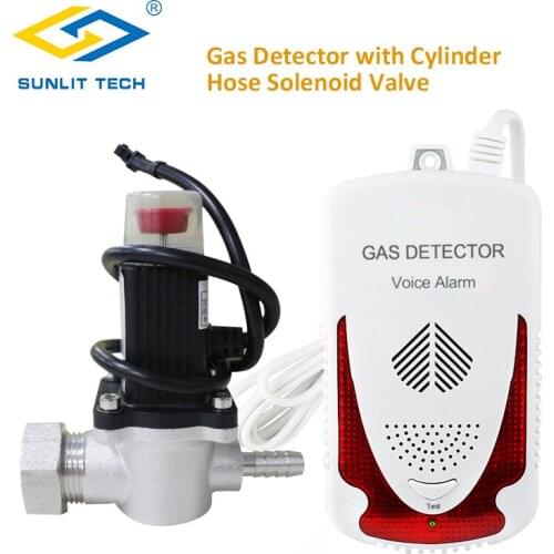 Household Combustible Gas Leak Detector LPG Flammable Natural Gas Leak Alarm System with Shut Off Cylinder Hose Solenoid Valve
