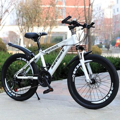 Mountain Bike/Student Adult Variable Speed Double Disc Brake Shock Absorption 20-26-Inch Mountain Bike