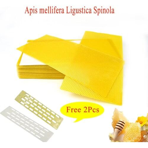 5pcs Professional Bee Wax Comb Foundtion Apis Mellifera Italian Bees Beehive honeycomb Beekeeping Supplies Apiculture Equipement