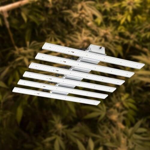 600w Digital Dimmable Outdoor Plant Grow Light t5 Purple 2.8μmol/J Led Grow Lamp Full Spectrum For Indoor Plant