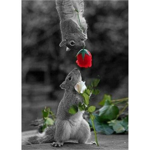 Dpsprue Full 5D DIY Square/Round Drill Diamond Painting "squirrel" Diamond Embroidery Cross Stitch 3D Decor Gift DF062