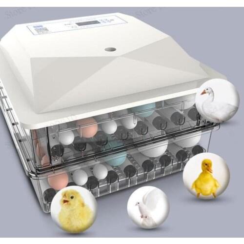 Incubator small household type incubator automatic intelligent chicken incubator mini incubator