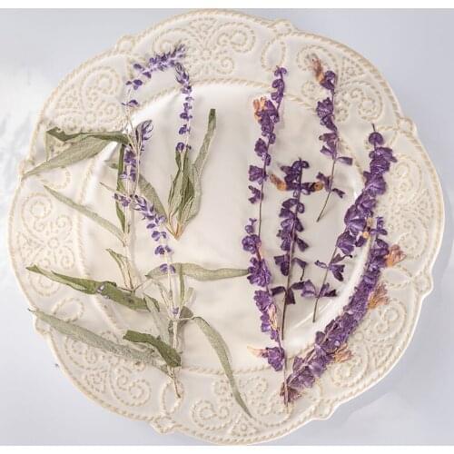 60pcs Pressed Dried Flower Salvia splendens var.atropurpura Herbarium For Make Up Nail Art Jewelry Bookmark Phone Case Card DIY