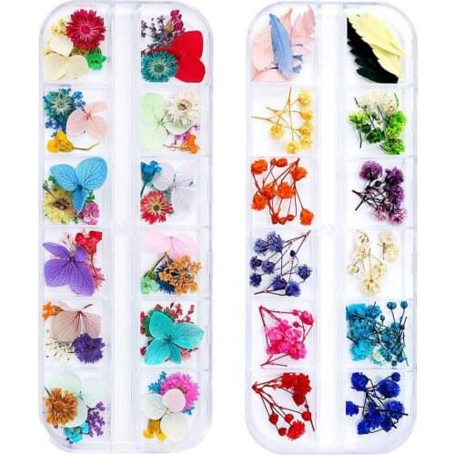 2 Boxes/Set Nail Dried Sticker Dry Flower Tips 3D DIY Multiple Colors Dried Flower Manicure Decals for Female Manicure Tools