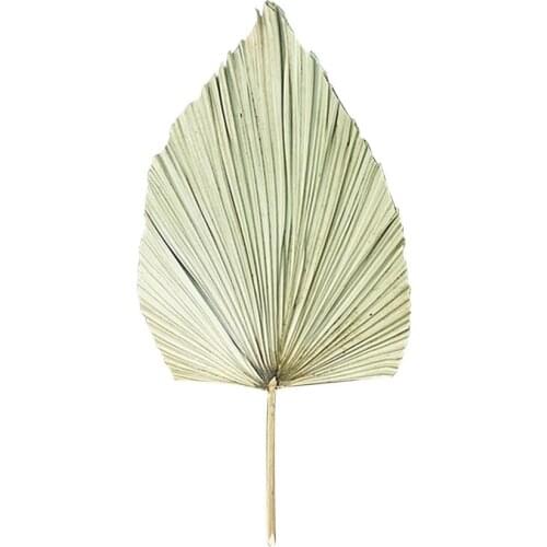 1PC Hot New High Quality Natural Dried Flower Palm Leaf DIY Art Wall Hanging Decoration For Wedding Arch Party Home Decoration