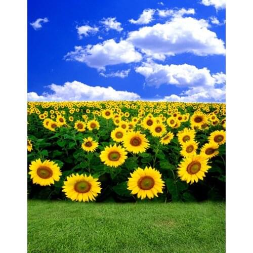 5x7ft Blue Sky Sunflowers Lawn Photography Backdrops Photo Props Studio Background