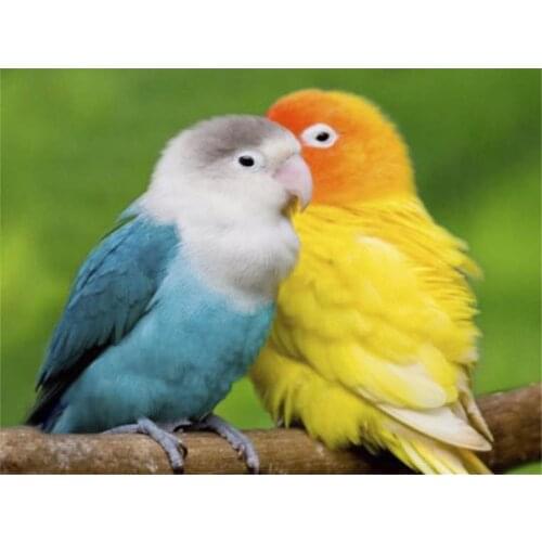 Parrot Bird Animal Printed Fabric 11CT Cross-Stitch DIY Embroidery Patterns DMC Threads Needlework Sewing Handmade Decor