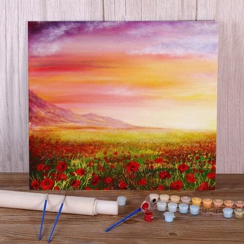 Natural Scenery Poppy Meadow DIY Painting By Numbers Kit Oil Paints 40*50 Canvas Painting Wall Paintings For Handicraft