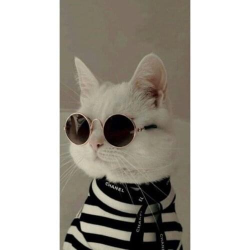 Pets Cat Dog Image Glasses Harmless Light Breaker Cat and Dog Compatible