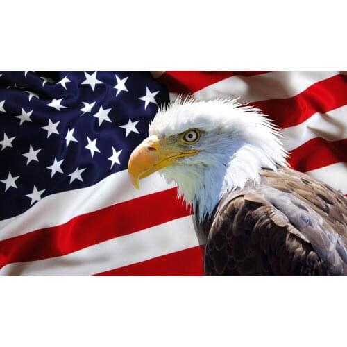 Flag with Eagle Full Round Diamond Mosaic Paintings Animals Cross Stitch Kits Art 5D DIY Embroidery Rhinestones Set Decor Home