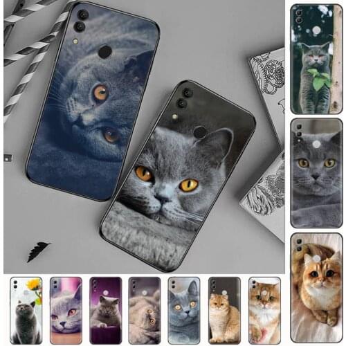 Webbedepp British Shorthair cat Phone Case Cover For Huawei Honor view 7a5.45inch 7c5.7inch 8x 8a 8c 9 9x 10 20 10i 20i lite pro
