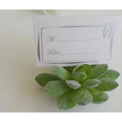 Natural Design Wedding Party Decoration Green Succulent Plant Place Card Holders/Table Number Holder Lin3810