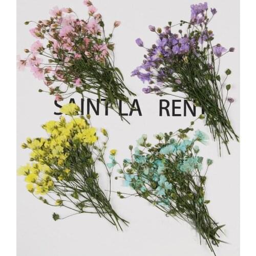 60pcs Pressed Dried Gypsophila Paniculata Linn Flowers With Stalks Plant Herbarium For Jewelry Postcard Invitation Card Making