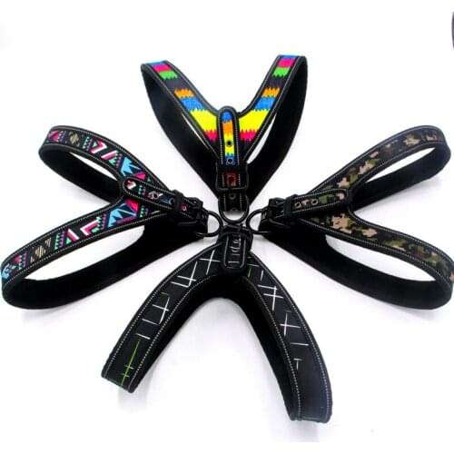 Reflective Large Dog Harness Leash Set Colorful Safety Comfortable Soft Strap Vest Walking Leash for Medium Large Dogs