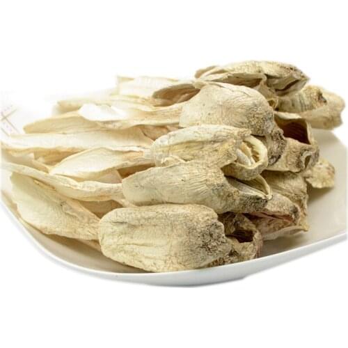 DRIED COPRINUS COMATUS MUSHROOM