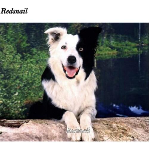Wall Sticker Diamond Painting Cross-Stitch Germany border collie 5d Diamond Embroidery pet dog Rhinestones Square Round EE715