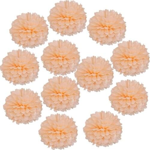 10 pieces per lot peach Tissue Paper Pom Poms DIY Paper Flower Wedding, baby shower, themed Party Decoration Favor