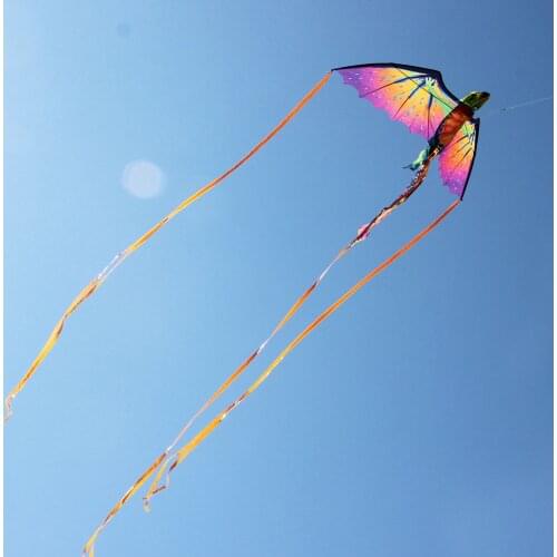 3D Pterosaur Kite flying dragon with long tails outdoor fun toys animal Dinosaur chameleon kite for kids children audlts