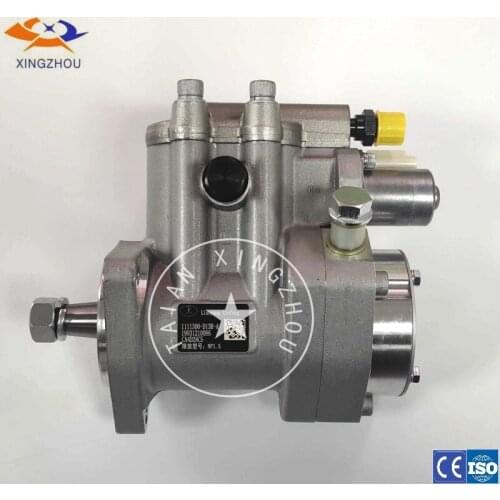 Diesel fuel common rail pump 1111300-D13B-A for liaoning xinfeng