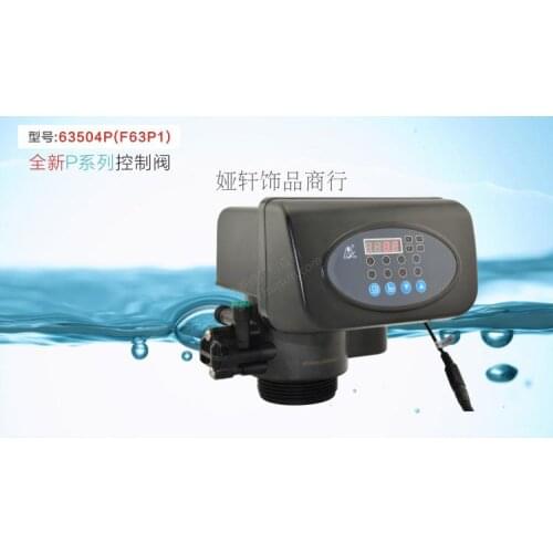 Softening Valve Head P Series Soft Water Automatic Valve Downstream Flow Type 4T/H 63604P F63P3/P1