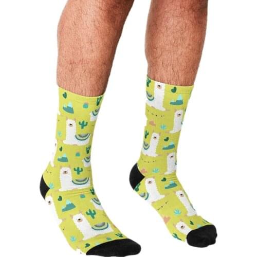 2021 Funny Mens socks Alpaca cactus Pattern Printed hip hop Men Happy Socks cute boys street style Crazy Socks for men