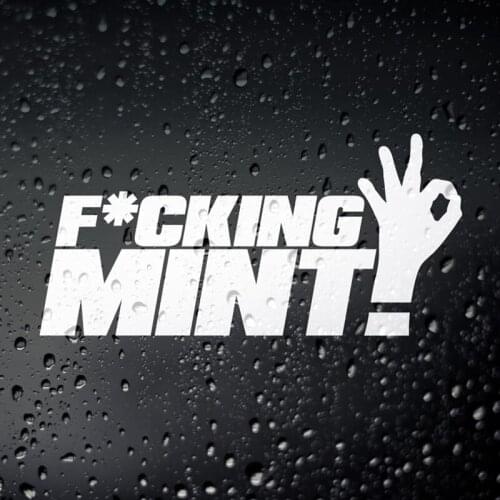 Black/Sliver F*cking Mint Funny Meme Car Sticker Hot Selling Small/Big Size Removable Waterproof Window Body Decal CL674