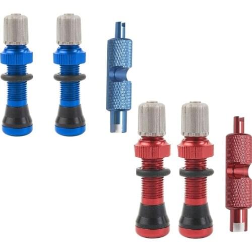 Bicycle Tubeless Schrader 40mm Stems with Valve Core Tool for MTB