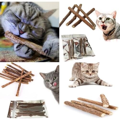 15/20pcs Cat Cleaning Teeth Natural Catnip Pet Cat Molar Toothpaste Stick Matatabi Actinidia Fruit Silvervine Cat Snacks Sticks