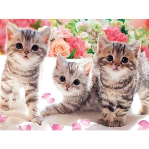 DIY 5D Diamond Painting Cat Diamond Embroidery Animal Flower Rose Cross Stitch Full Round Drill Wall Sticker Art Home Decor Gift