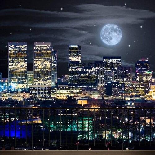 Los Angeles Moonlight City Skyline night background High quality Computer print wedding photo backdrop
