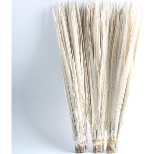 New 50pcs/lot Natural Beige Pheasant Feathers 12-14cm/12--14inches Diy Dancers Wedding Carnival DIY Decoration Plumas