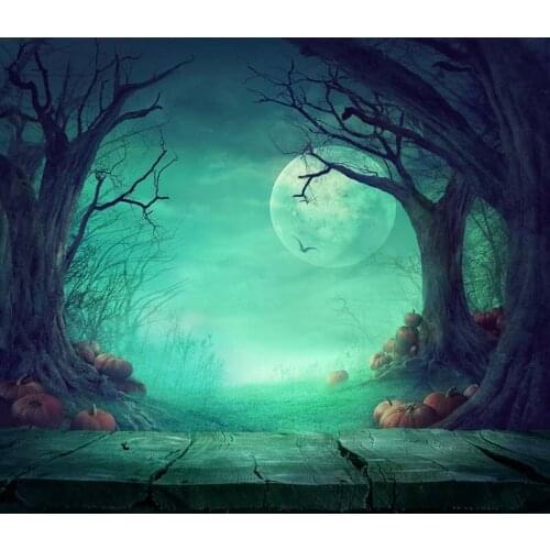 Halloween photography backgrounds Seamless Vinyl cloth and No wrinkle Washable Oxford Fabric backdrops for photo studio HA-236